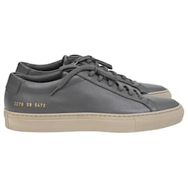 Autre Marque- Common Projects Achilles Sneakers in Grey Saffiano Leather-Grey
