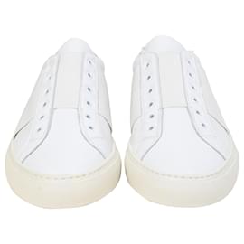 Autre Marque- Common Projects Elastic Slip-On Sneakers in White Leather-White,Cream