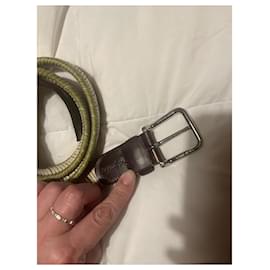 Ermenegildo Zegna-Belts-Beige,Dark brown,Light green