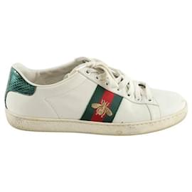 Gucci-Leather sneakers-White
