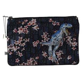 Dior-Pocket-Blue