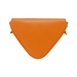 Céline-Celine Triangle Handbag 195903DCS-Orange