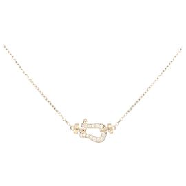 Collar Pequeño Fred Force 10 Otro