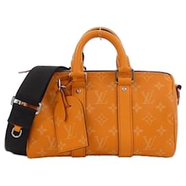 Louis Vuitton-Louis Vuitton Taigarama Keepall Bandouliere 25cm Boston Bag-Other