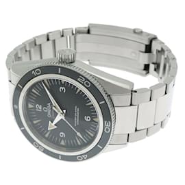 Omega-Omega Seamaster 300 Master Co-Axial Men's Watch-Other