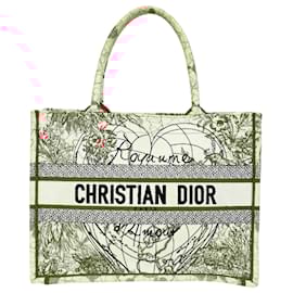 Dior-Dior Embroidered Large Dioramour D-Royaume Book Tote in Red Canvas-Other