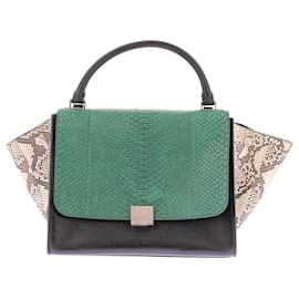 Céline-CELINE Handbags T.  Exotic leathers-Green