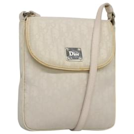 Christian Dior-Christian Dior Trotter Canvas Shoulder Bag Nylon White Silver Auth BD1628-Silvery,White