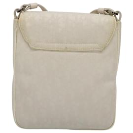 Christian Dior-Christian Dior Trotter Canvas Shoulder Bag Nylon White Silver Auth BD1628-Silvery,White