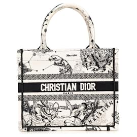 Christian Dior-Christian Dior Dior Book Tote Small Bag-Black,Beige