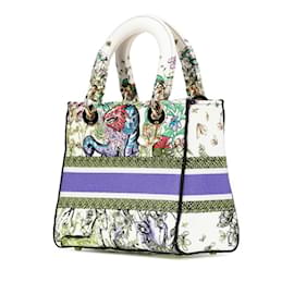 Christian Dior-Christian Dior Dior D Constellation Embroidery Lady Dee-Lite Medium Handbag-White,Multiple colors