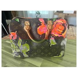 Louis Vuitton-Speedy Louis Vuitton-Monogram