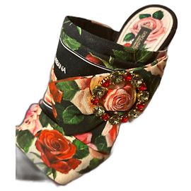 Dolce & Gabbana Mules Multicor
