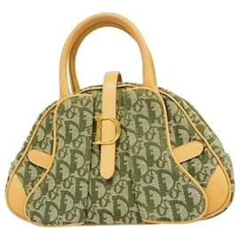 Christian Dior-Christian Dior Trotter Handbag-Brown,Green