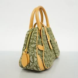 Christian Dior-Christian Dior Trotter Handbag-Brown,Green