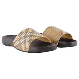 Burberry-Dive Check sandals - Burberry - Synthetic - Beige-Brown,Beige
