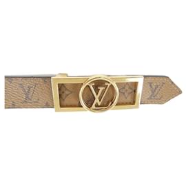 Louis Vuitton-Louis Vuitton Standard Leather Belt-Brown,Black