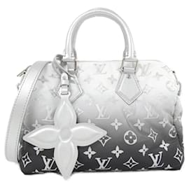 Louis Vuitton-Louis Vuitton LV Snow Speedy Bandouliere Handbag-Other