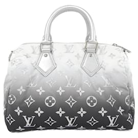 Louis Vuitton-Louis Vuitton LV Snow Speedy Bandouliere Handbag-Other