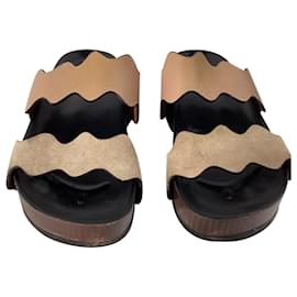 Chloé- Chloé Carraia Slide Sandals in Brown Suede and Leather-Brown