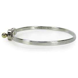 Tiffany & Co-Pulseira de gancho e olho Tiffany-Prata,Dourado