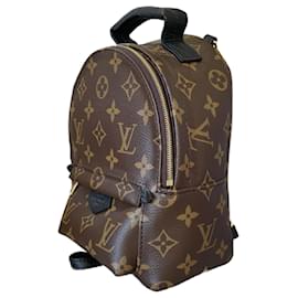 Louis Vuitton-Louis Vuitton Palm Springs Mini-Brown