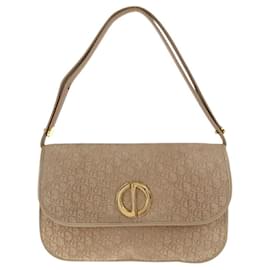 Christian Dior-Dior Suede Trotter Shoulder Bag-Brown,Beige