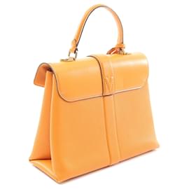 Louis Vuitton-Louis Vuitton Orange Grainé Lisse Cuir de Veau Rose Des Vents PM-Orange