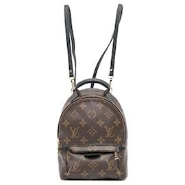 Louis Vuitton-Louis Vuitton Brown Monogram Mini Palm Springs-Brown