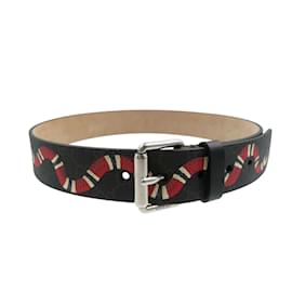 Gucci-Gucci 434520 Snake GG Pattern Supreme Belt-Black,Red