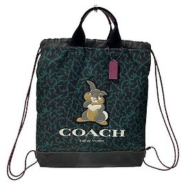 Coach Disney Collab Terrain Wave Backpack Black