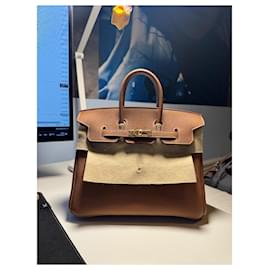 Hermès-HERMES Birkin 25 Handbag Gold Brown Togo Leather Gold Plated Hardware-Gold hardware