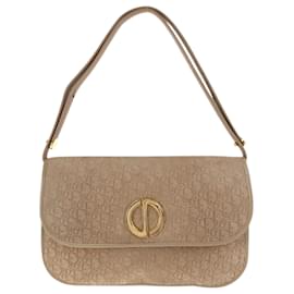 Christian Dior-Christian Dior Dior Trotter Beige Suede Shoulder Bag-Beige