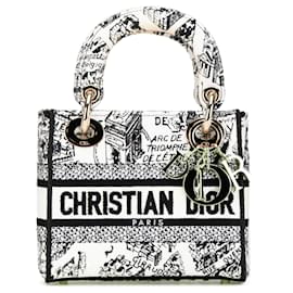 Dior-Dior White Mini Embroidered Canvas Plan de Paris Lady D Lite-White