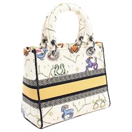 Dior-Dior White Medium Embroidered Canvas Pixel Zodiac Lady D Lite-White,Eggshell