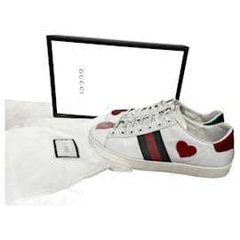 Gucci-ace-White