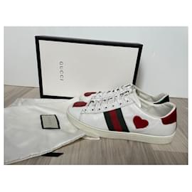 Gucci-ace-White