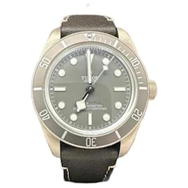 Autre Marque-Tudor Black Bay 58 40mm 925 silver-Grey