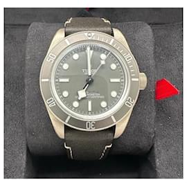 Autre Marque-Tudor Black Bay 58 40mm 925 silver-Grey
