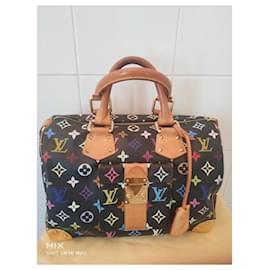 Louis Vuitton-Speedy 30 Murakami-Multiple colors
