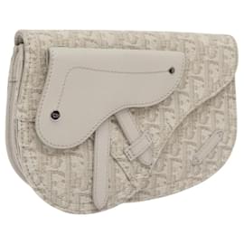 Christian Dior-Sac à main en toile Trotter Christian Dior en cuir blanc et argent authentique bs24225-Argenté,Blanc
