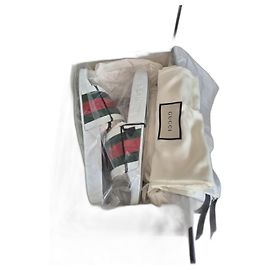 Gucci Pursuit White Slippers White