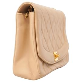 Chanel-Chanel Shoulder Bag Diana Chain in Beige-Beige