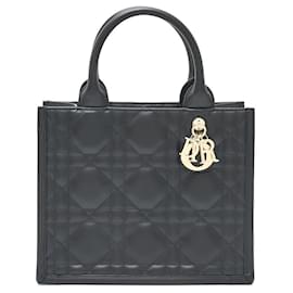 Dior-Dior Book Tote Small Calfskin Handbag-Black