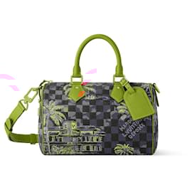 Louis Vuitton-LV Speedy 25 damier bleu marina-Multicolore