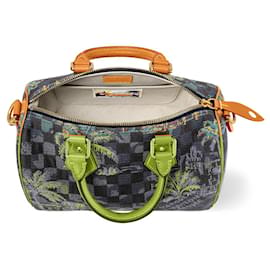Louis Vuitton-LV Speedy 25 damier bleu marina-Multicolore