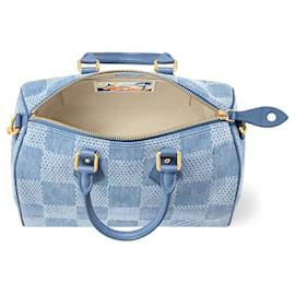 Louis Vuitton-LV Speedy 30 Damier Denim-Bleu