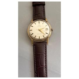 Omega-Seamaster Gold-Golden