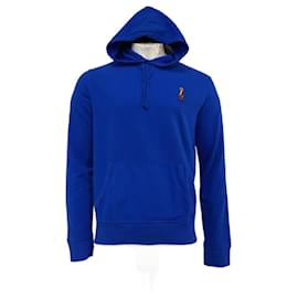 Polo Ralph Lauren-Polo Ralph Lauren Bear Hoodie in Blue Cotton-Blue