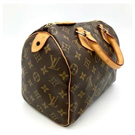 Louis Vuitton-Louis Vuitton Speedy 25 Handbag-Other